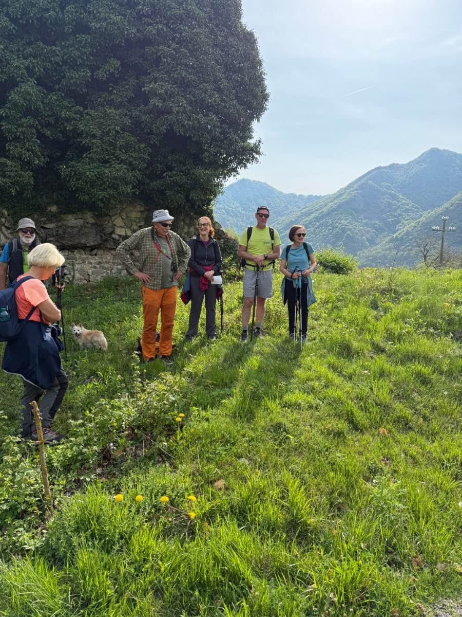 Gallery: la-cura-nello-sguardo-e-cattedre-della-salute-una-domenica-tra-cammino-e-consapevolezza-a-moiola - 2