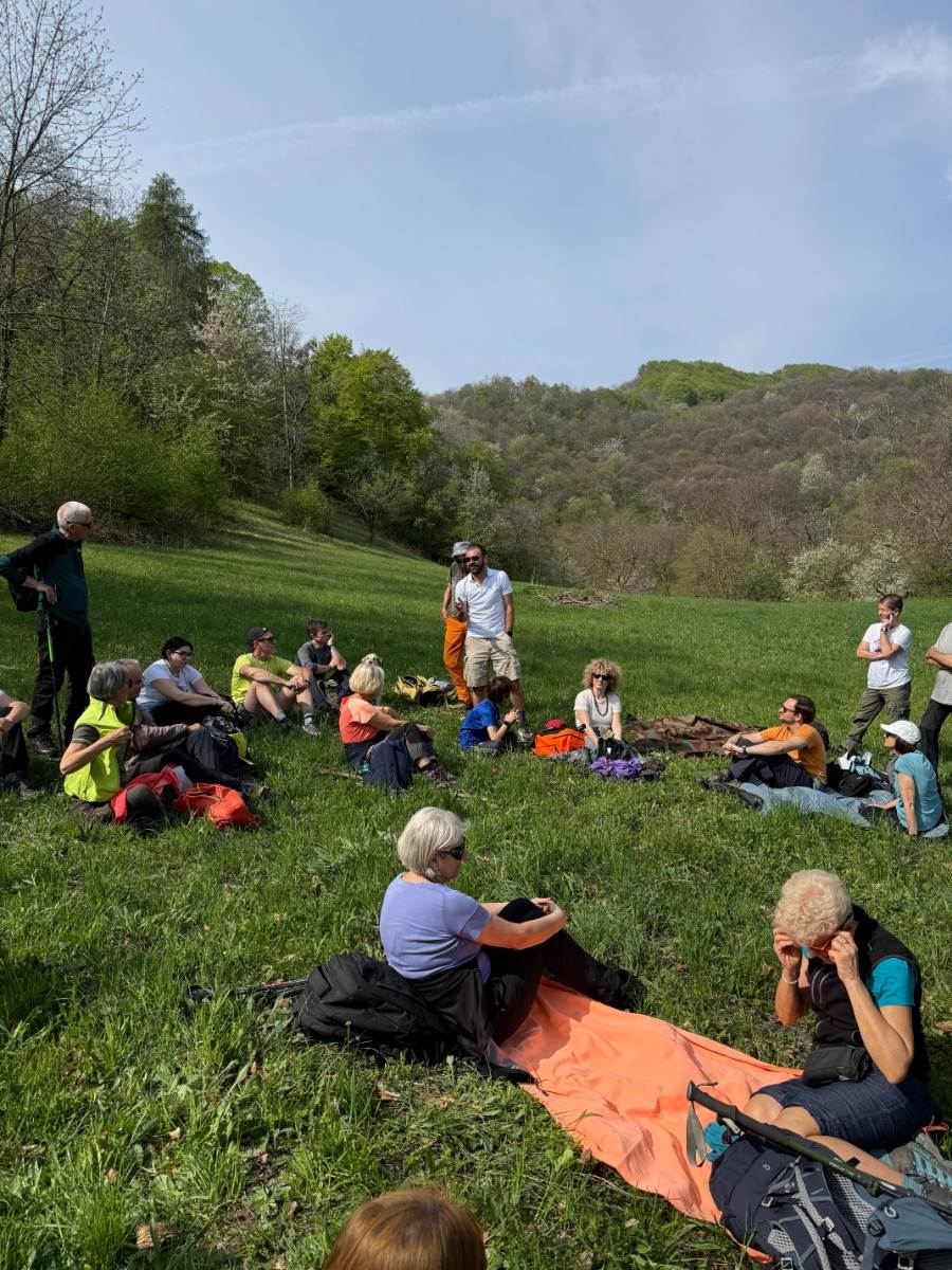Gallery: la-cura-nello-sguardo-e-cattedre-della-salute-una-domenica-tra-cammino-e-consapevolezza-a-moiola - 39