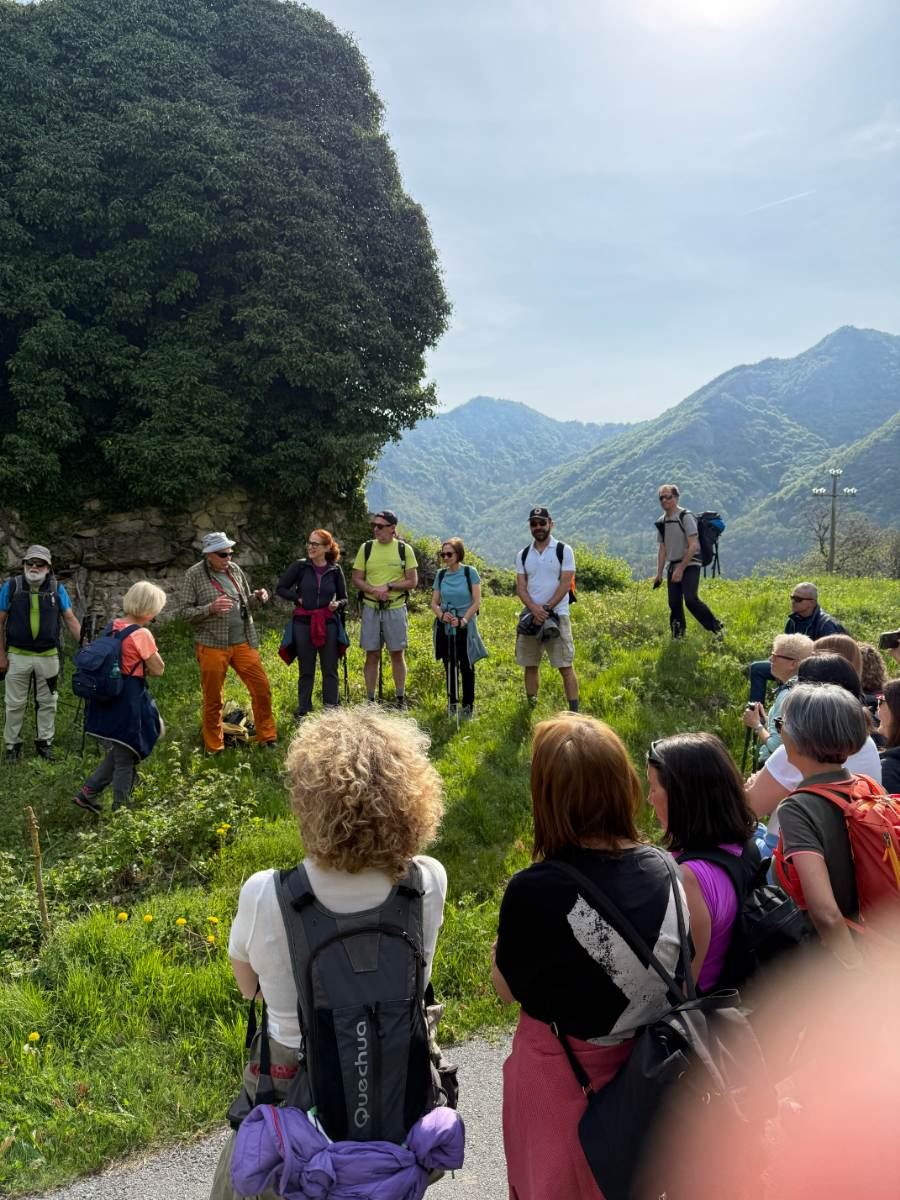 Gallery: la-cura-nello-sguardo-e-cattedre-della-salute-una-domenica-tra-cammino-e-consapevolezza-a-moiola - 4