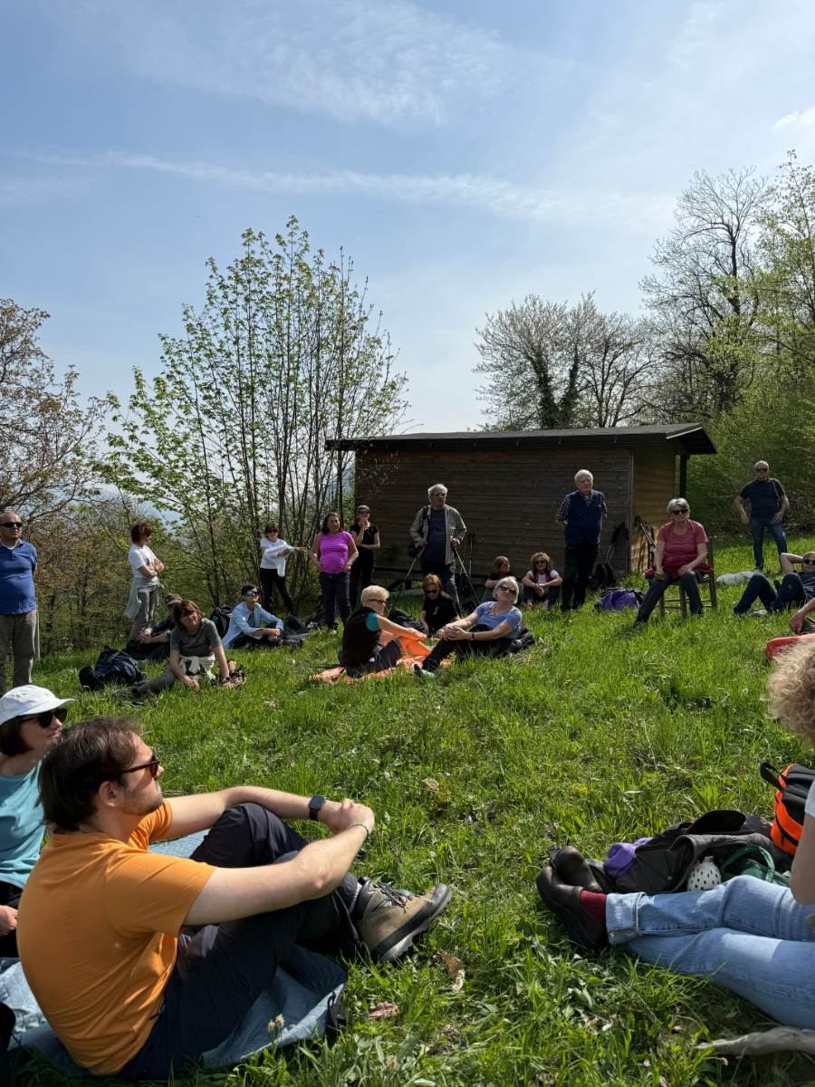 Gallery: la-cura-nello-sguardo-e-cattedre-della-salute-una-domenica-tra-cammino-e-consapevolezza-a-moiola - 60