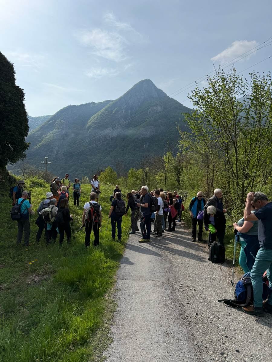 Gallery: la-cura-nello-sguardo-e-cattedre-della-salute-una-domenica-tra-cammino-e-consapevolezza-a-moiola - 7