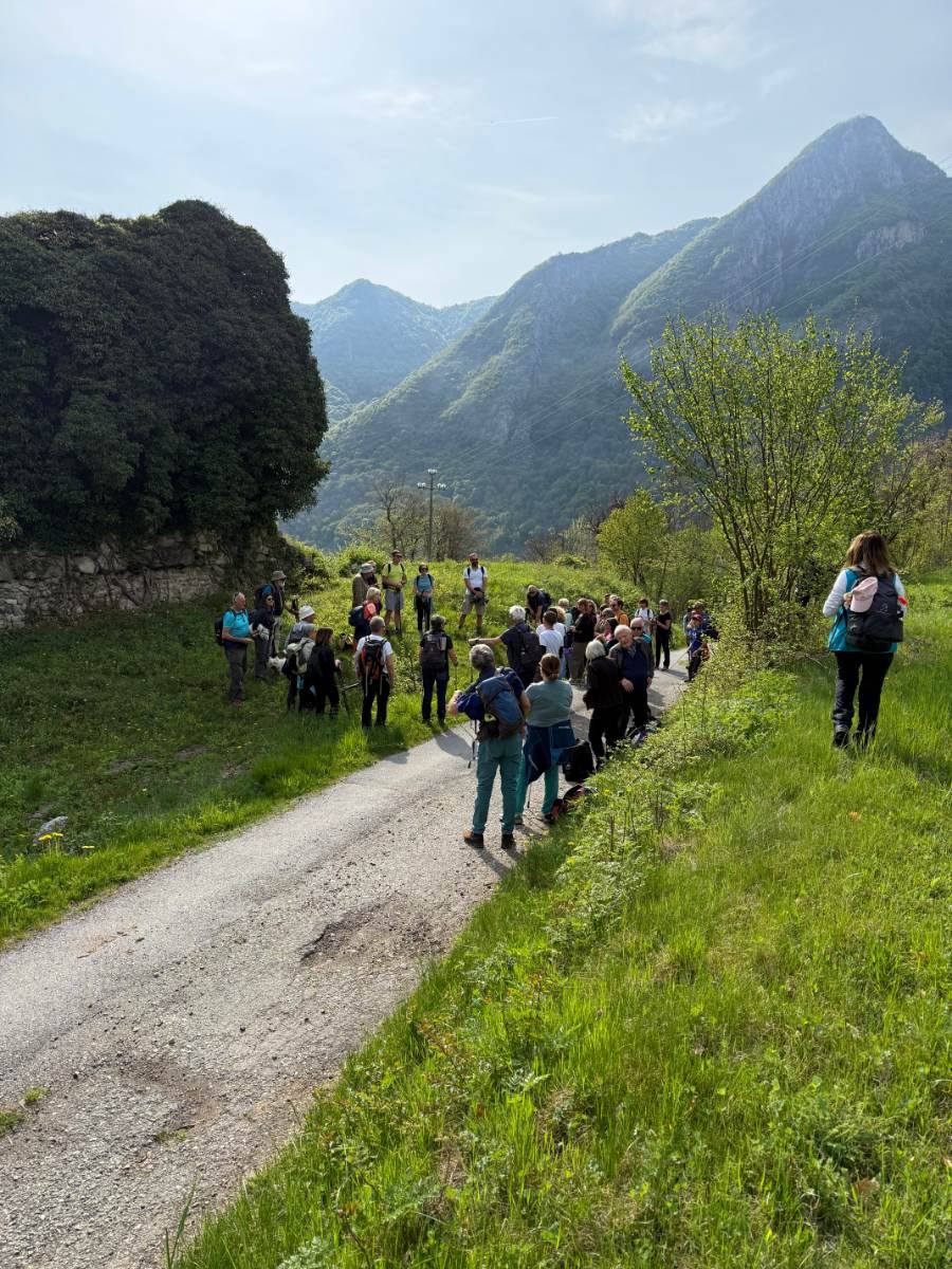 Gallery: la-cura-nello-sguardo-e-cattedre-della-salute-una-domenica-tra-cammino-e-consapevolezza-a-moiola - 8