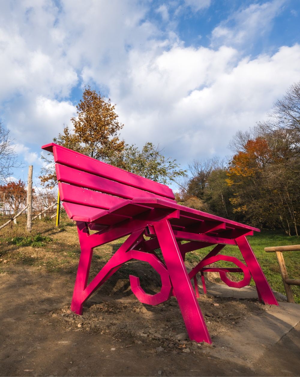 La Cura nello Sguardo | Codice Etico 11