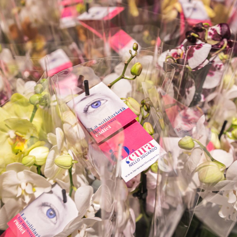 La Cura nello Sguardo | Codice Etico 4