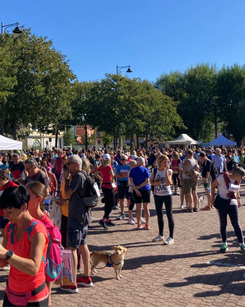 La Cura nello Sguardo | Codice Etico 9