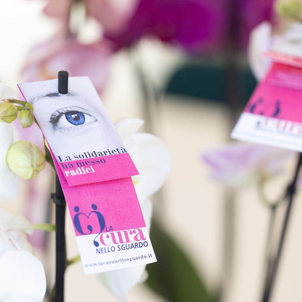 La Cura nello Sguardo - La Solidarietà ha Messo Radici