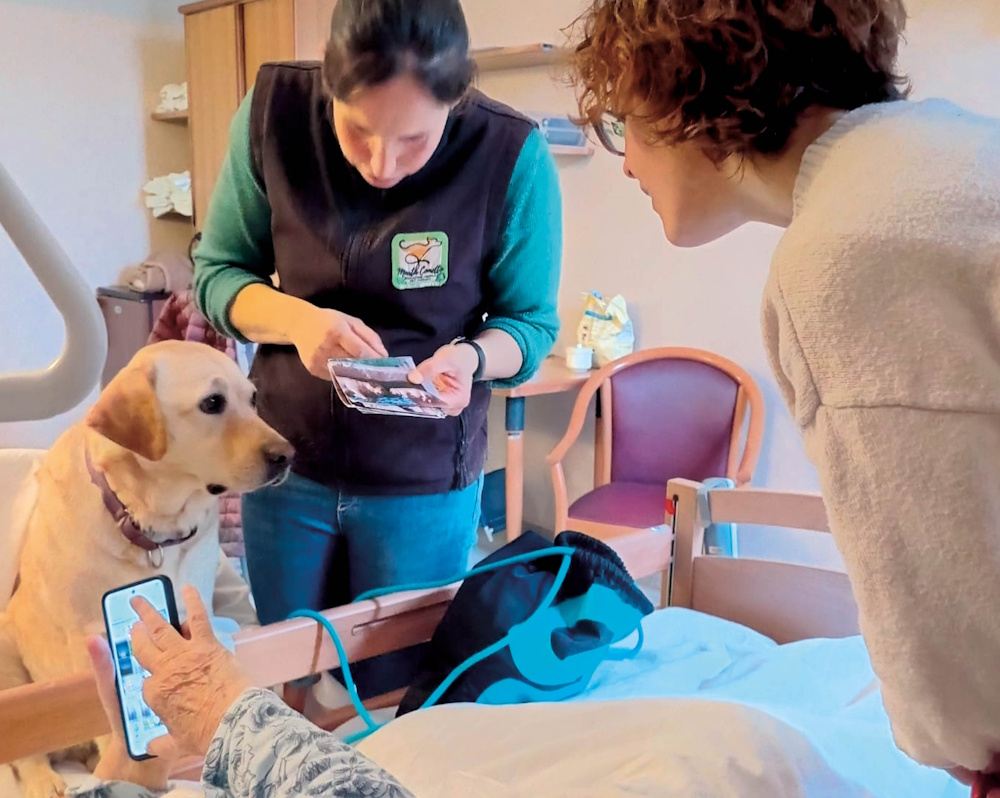 Pet Therapy 1
